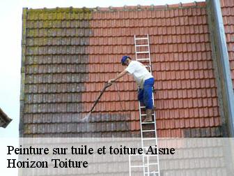 Peinture sur tuile et toiture Aisne 