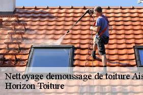 Nettoyage demoussage de toiture 02 Aisne Horizon Toiture