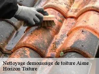 Nettoyage demoussage de toiture Aisne 