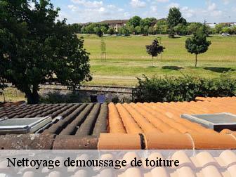 Nettoyage demoussage de toiture Aisne
