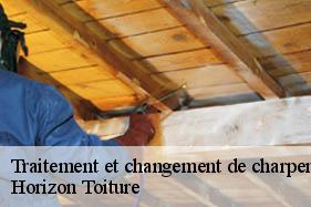 Traitement et changement de charpente 02 Aisne  Horizon Toiture 