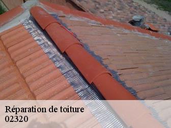 Réparation de toiture  02320
