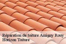 Réparation de toiture amigny-rouy-02700 Horizon Toiture