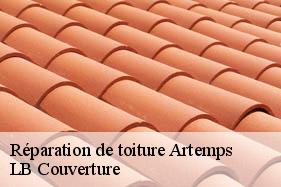 Réparation de toiture  artemps-02480 LB Couverture