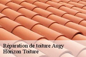 Réparation de toiture augy-02220 Horizon Toiture