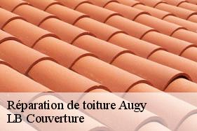 Réparation de toiture  augy-02220 LB Couverture