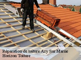 Réparation de toiture 02400