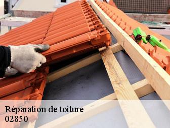 Réparation de toiture  02850