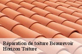 Réparation de toiture beaurevoir-02110 Horizon Toiture