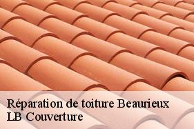 Réparation de toiture  beaurieux-02160 LB Couverture
