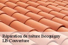 Réparation de toiture  becquigny-02110 LB Couverture
