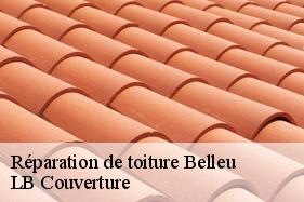 Réparation de toiture  belleu-02200 LB Couverture