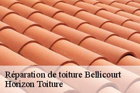 Réparation de toiture bellicourt-02420 Horizon Toiture