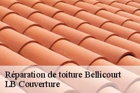 Réparation de toiture  bellicourt-02420 LB Couverture
