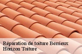 Réparation de toiture berrieux-02820 Horizon Toiture