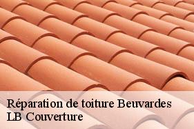 Réparation de toiture  beuvardes-02130 LB Couverture