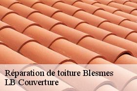 Réparation de toiture  blesmes-02400 LB Couverture