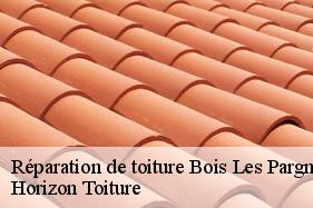 Réparation de toiture bois-les-pargny-02270 Horizon Toiture