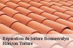 Réparation de toiture bonnesvalyn-02400 Horizon Toiture