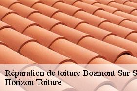 Réparation de toiture bosmont-sur-serre-02250 Horizon Toiture