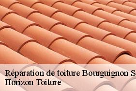 Réparation de toiture bourguignon-sous-montbavin-02000 Horizon Toiture