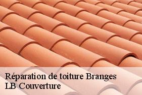 Réparation de toiture  branges-02130 LB Couverture