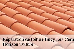 Réparation de toiture bucy-les-cerny-02870 Horizon Toiture