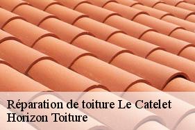 Réparation de toiture le-catelet-02420 Horizon Toiture