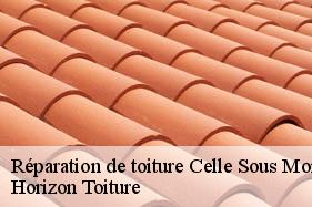 Réparation de toiture celle-sous-montmirail-02540 Horizon Toiture