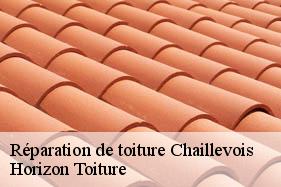 Réparation de toiture chaillevois-02000 Horizon Toiture
