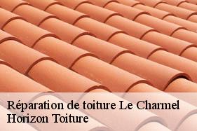 Réparation de toiture le-charmel-02850 Horizon Toiture