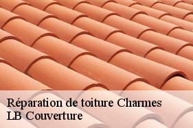 Réparation de toiture  charmes-02800 LB Couverture