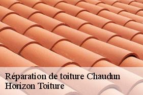 Réparation de toiture chaudun-02200 Horizon Toiture