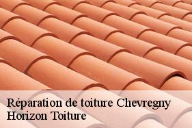 Réparation de toiture chevregny-02000 Horizon Toiture