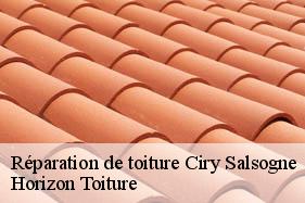 Réparation de toiture ciry-salsogne-02220 Horizon Toiture