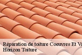 Réparation de toiture coeuvres-et-valsery-02600 Horizon Toiture