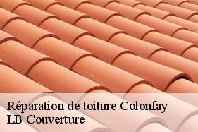 Réparation de toiture  colonfay-02120 LB Couverture