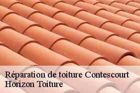 Réparation de toiture contescourt-02680 Horizon Toiture