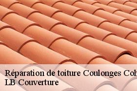 Réparation de toiture  coulonges-cohan-02130 LB Couverture
