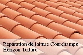 Réparation de toiture courchamps-02810 Horizon Toiture
