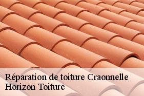 Réparation de toiture craonnelle-02160 Horizon Toiture