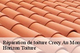 Réparation de toiture crecy-au-mont-02380 Horizon Toiture