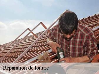 Réparation de toiture  02870