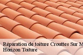 Réparation de toiture crouttes-sur-marne-02310 Horizon Toiture