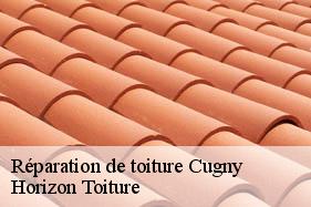 Réparation de toiture cugny-02480 Horizon Toiture