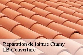 Réparation de toiture  cugny-02480 LB Couverture