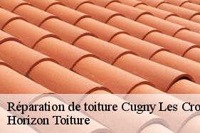 Réparation de toiture cugny-les-crouttes-02210 Horizon Toiture