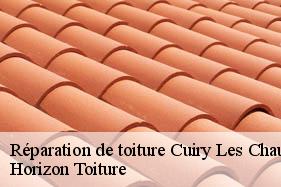 Réparation de toiture cuiry-les-chaudardes-02160 Horizon Toiture