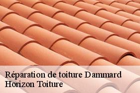 Réparation de toiture dammard-02470 Horizon Toiture