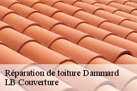Réparation de toiture  dammard-02470 LB Couverture